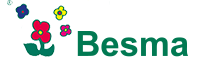 Besma logo